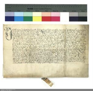Revers Melchior Christophs von Romrod bezüglich der Belehnung mit einer adeligen Behausung in Dipperz durch Joachim [von Gravenegg], Abt von Fulda