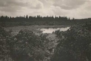 Westerzgebirge. Großer Kranichsee