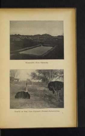 Wasserstelle, Farm Otjitamby.