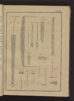 Pl. 19. Fig. 1. bis Fig. 12., Fig. A.