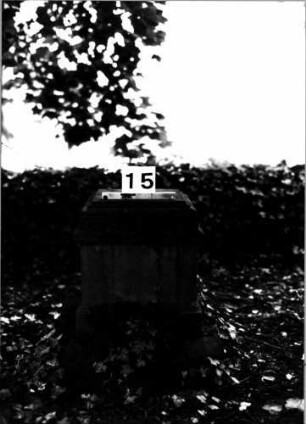 Grabstein 15 (Index: 100106090) Material: Sandstein Zustand: Stele fehlt Maße HxBxT: 63x41x32 cm Beschreibung: getreppter Sockel: Grabstein 15