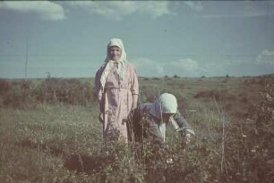 Zweiter Weltkrieg. Zur Einquartierung (wahrscheinlich in der Ukraine). Zwei Bauernmädchen auf einer Wiese
