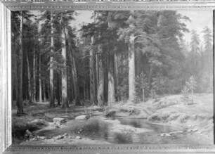 Waldsee