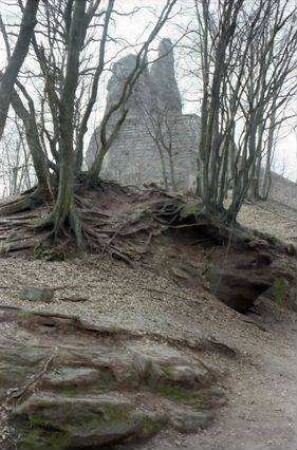 Fleckenstein: Burgruine Fleckenstein durch kahle Bäume
