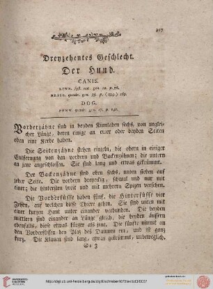 Dreyzehentes Geschlecht: Der Hund
