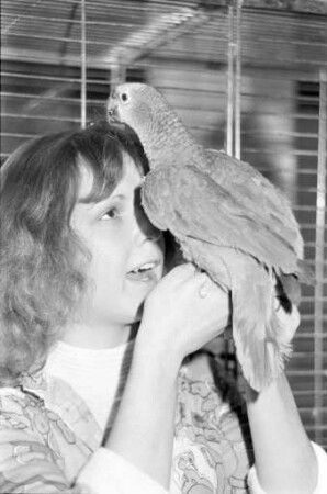 Verkauf von Kleintieren in Karlsruher Zoohandlungen