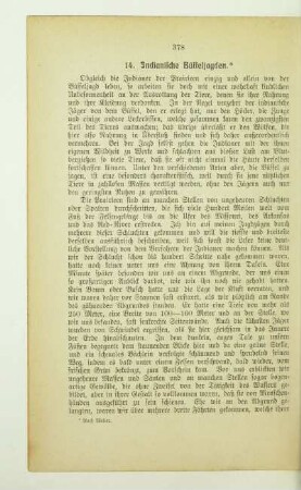 14. Indianische Büffeljagden
