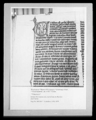 Lüneburger Bibel — Initiale E (t factum est), darin Jonas im Rachen des Fisches