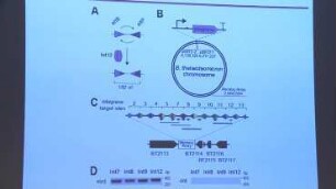 Technologies for engineering the microbiome