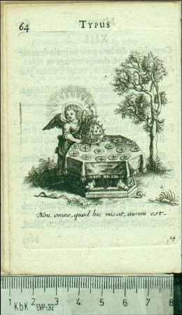 XIV. Non omne quod hic micat aurum est.