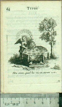 XIV. Non omne quod hic micat aurum est.