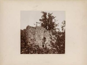 Ruine : Ruine auf Kalkklippen im Kiefernwald.