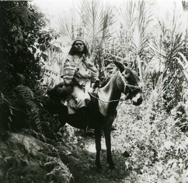 Arhuaco de Donachui.