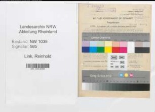 Entnazifizierung Reinhold Link , geb. 10.05.1906 (Ingenieur)