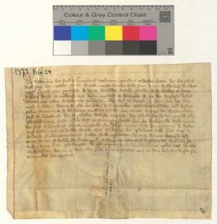 Die Lüneburger Ratsmannen schulden Hinrich Neghendanken 250 Mark, zurückzuzahlen Johannis 1372.