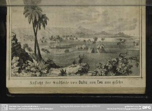 Ansicht der Südseite von Oahu, von Ewa aus gesehen