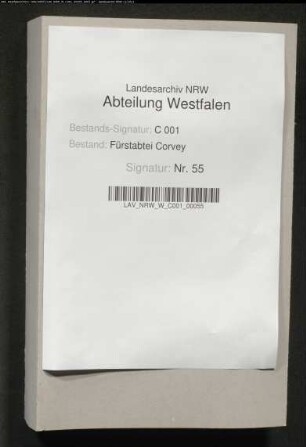 Reichstagsberichte (Gesandter von Wetzel)