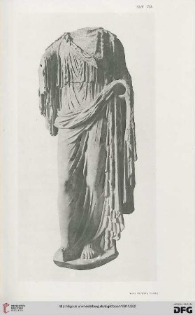 Tavola VII - VIII