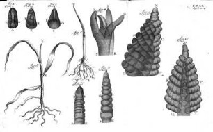 158