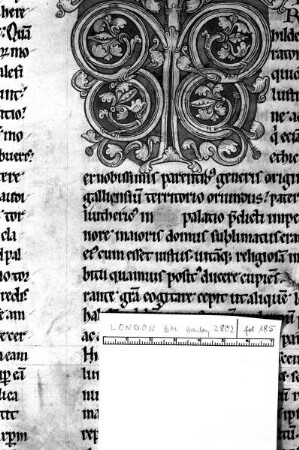 Rankeninitiale T (?), Folio 185 recto