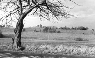 Löbau-Wohla. Blick zur Holländermühle