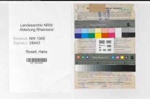 Entnazifizierung Hans Rosell , geb. 29.01.1889 (Prokurist)