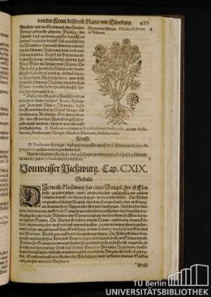 Cap. CXIX. Von weisser Nießwurz.