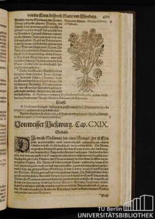 Cap. CXIX. Von weisser Nießwurz.