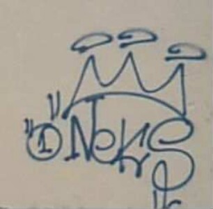 "1 NeKS