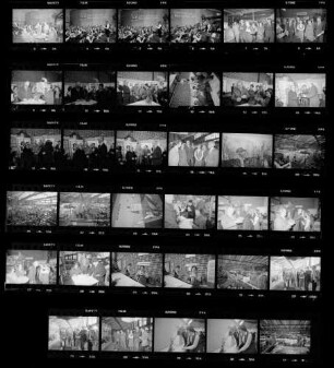 Garten '81 - Fachausstellung für Hobbygärtner und Blumenfreunde, 18.-22.03.1981, Messe Stuttgart-Killesberg (Film 2)