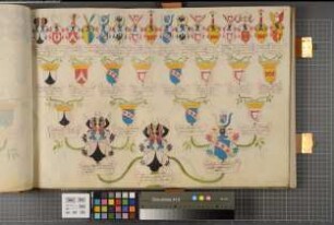 Proband: Weichs, Clemens Maria von; Vater: Weichs, Caspar Bernhard von; Mutter: Kerckerinck, Theresia Elisabeth von: Westfalen, Hzgtm, Ritterschaft