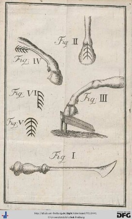 Darstellungen.