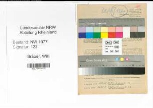 Entnazifizierung Willi Brauer , geb. 01.03.1912 (Polizist)