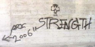 "STRENGTH GRX 2006