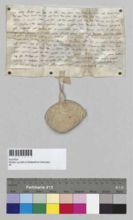 Graf Albrecht von Hals beurkundet, dass seine Tochter Luitgard von Bruckberg dem Kloster Seligenthal einen Hof zu Oberlaichling verkauft hat. S: Albrecht, Graf von Hals