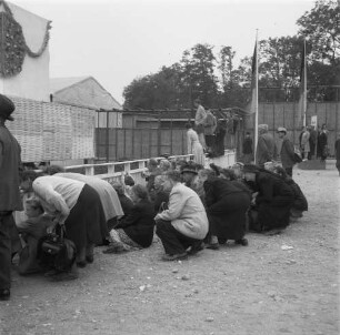 Markkleeberg. Zaungäste : Markkleeberg, agra Landwirtschaftsausstellung, Zaungäste, Juni 1954