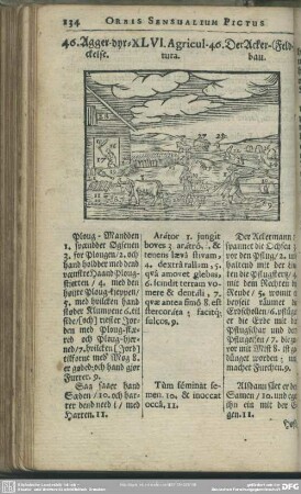 XLVI. Agricultura