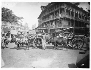 Bombay. Straßenszene mit Ochsenkutschen