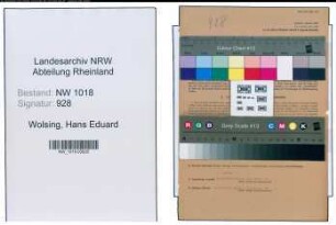 Entnazifizierung Hans Eduard Wolsing , geb. 13.03.1919 (Bankangestellter)