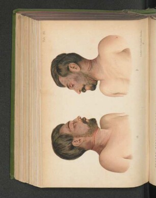 Tab. 23.