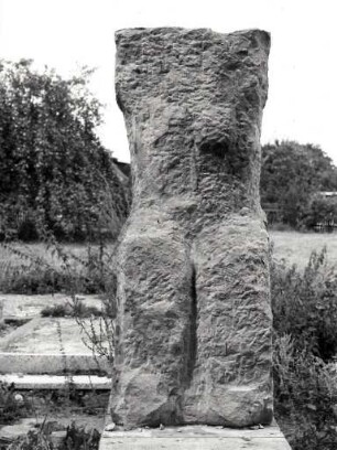 Torso
