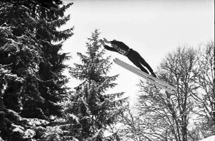 Hinterzarten: Springer