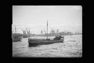 Hebelina (1935), W. Byl, Borkum