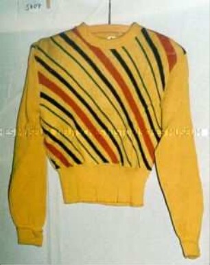 Pullover (für Damen)