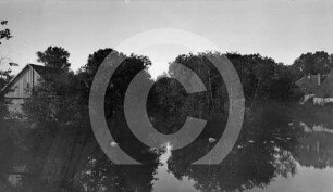 Teich Groß-Essern