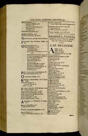 Regiones, Populi, Oppida, Vici, Fluvii, Montes Et Chorographica Alia. Cap. Decimum
