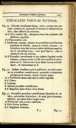 Explicatio Tabulæ Septimæ.
