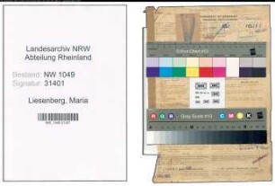 Entnazifizierung Maria Liesenberg , geb. 08.09.1896 (Stenotypistin)