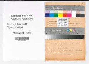 Entnazifizierung Hans Wellensiek , geb. 18.04.1886 (Ingenieur)