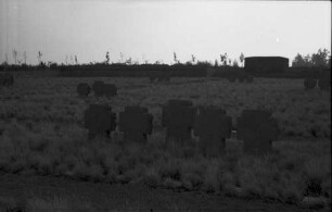 Vossenack: [Ehrenfriedhof Vossenack], Kreuze
